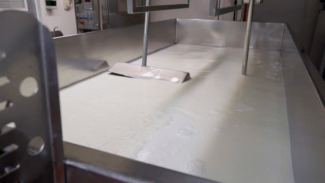 About Us – Portuguese Cheese Company